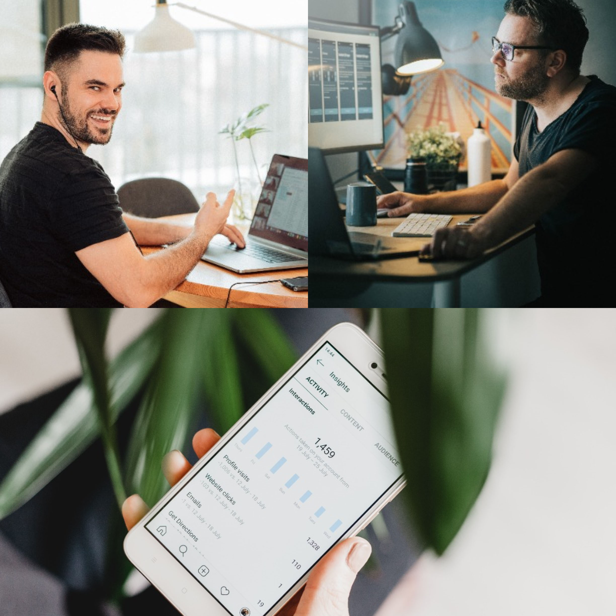 professional data analysis